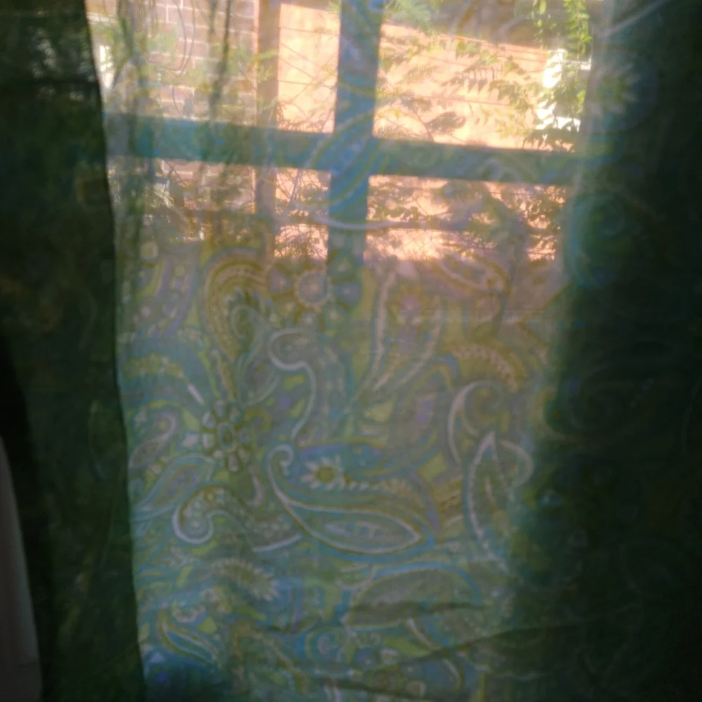 The Chandler collection green blue paisley sheer cotton set of 2 panels …